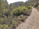 Jolie descente